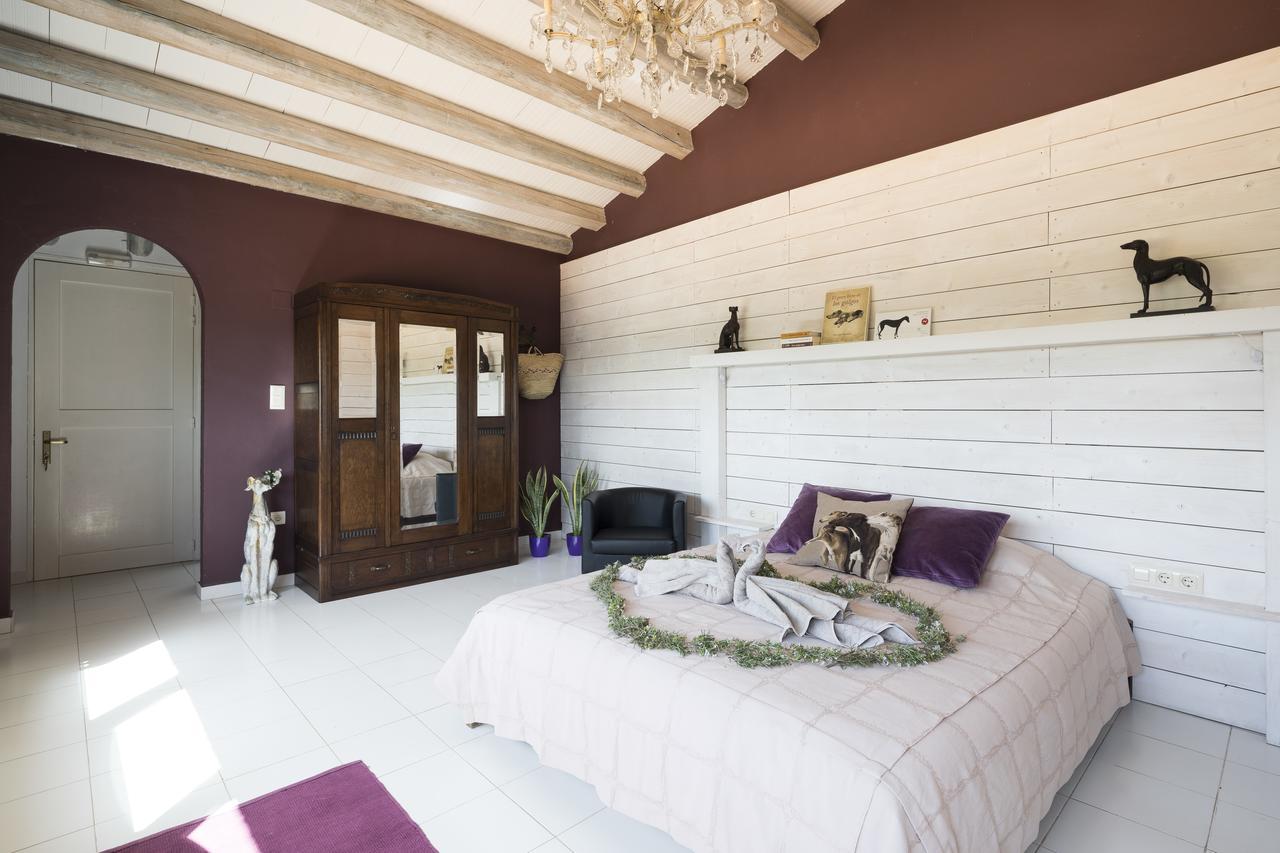 Can Patiras B&B Cistella 외부 사진